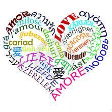 【根主题】 > 语言学习与考试