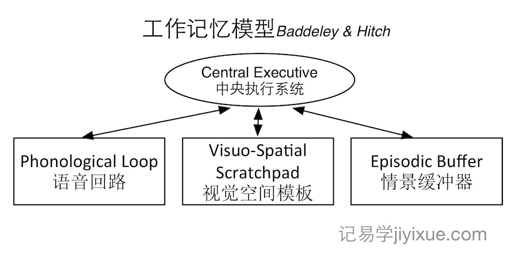 科学记忆系列：三、工作记忆的理论与模型